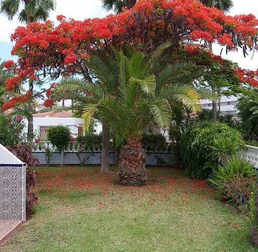 Feriehus San Valentin & Terraflor Park Playa del Inglés