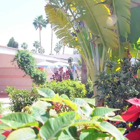 Hotel San Valentin & Terraflor Park